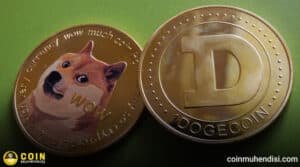 420 Milyon DOGE Satıldı: Dogecoin İçin Risk Mi, Fırsat Mı?