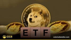 Dogecoin Balinaları Dipten Topluyor: 200 Milyon DOGE Alındı