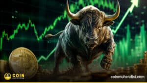 Kripto Para Piyasasında Boğa Sezonu Neden Gelebilir?