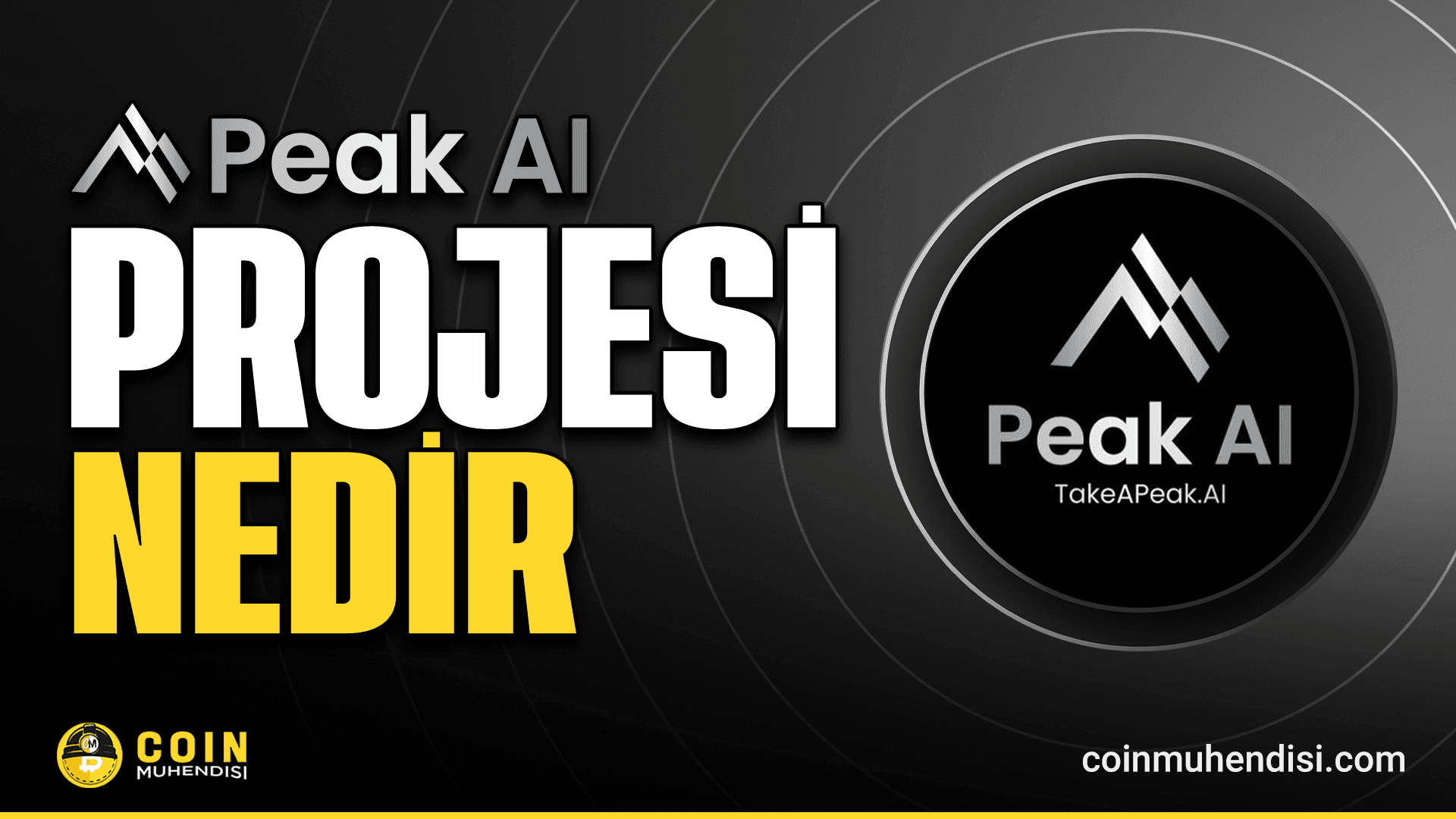 Peak AI (PEAK) Nedir?
