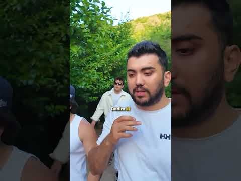 Altın Beni Zengin Etmeyecekti, O Yüzden Altcoin Yatırımı Yaptım